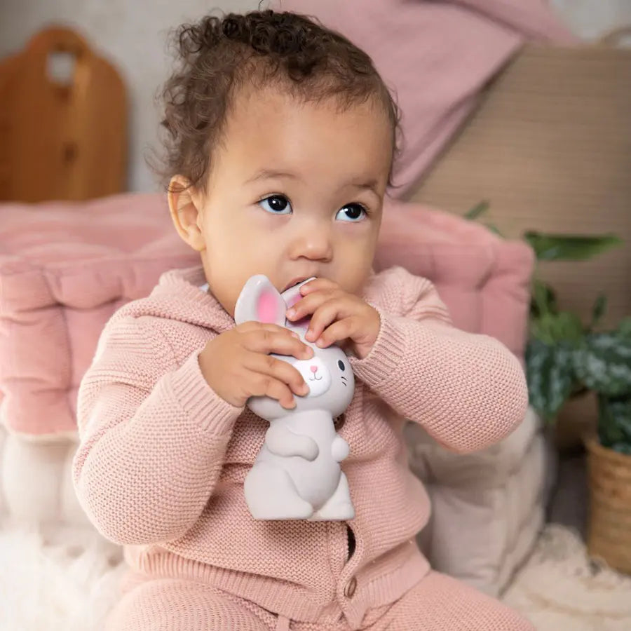 Ingenuity Sylvi Natural Rubber Teether Ingenuity Sylvi Natural Rubber Teether