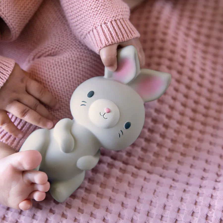 Ingenuity Sylvi Natural Rubber Teether Ingenuity Sylvi Natural Rubber Teether