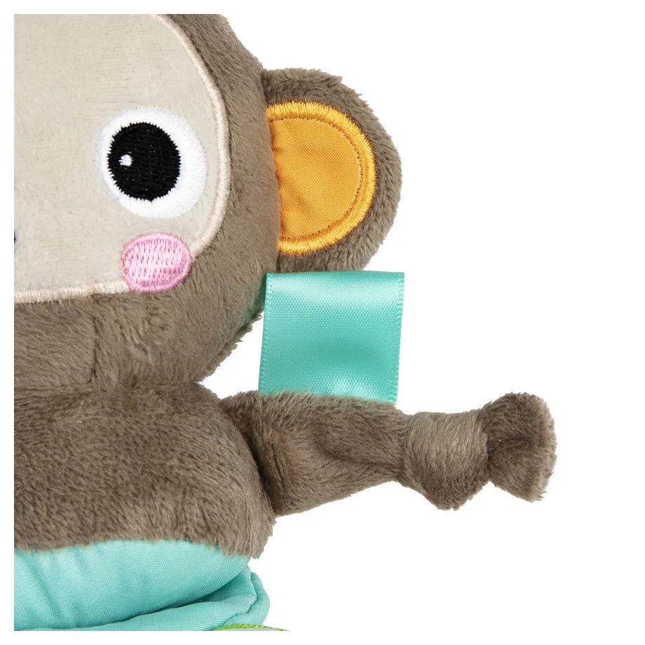 Bright Starts Pull Down Musical Monkey Peg Toy