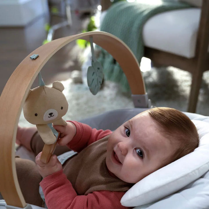 Ingenuity Cozy Spot Bouncer With Wood Toy Bar