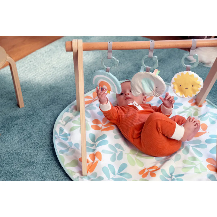 Ingenuity  Sun Valley Wooden Toy Arch & Play Mat