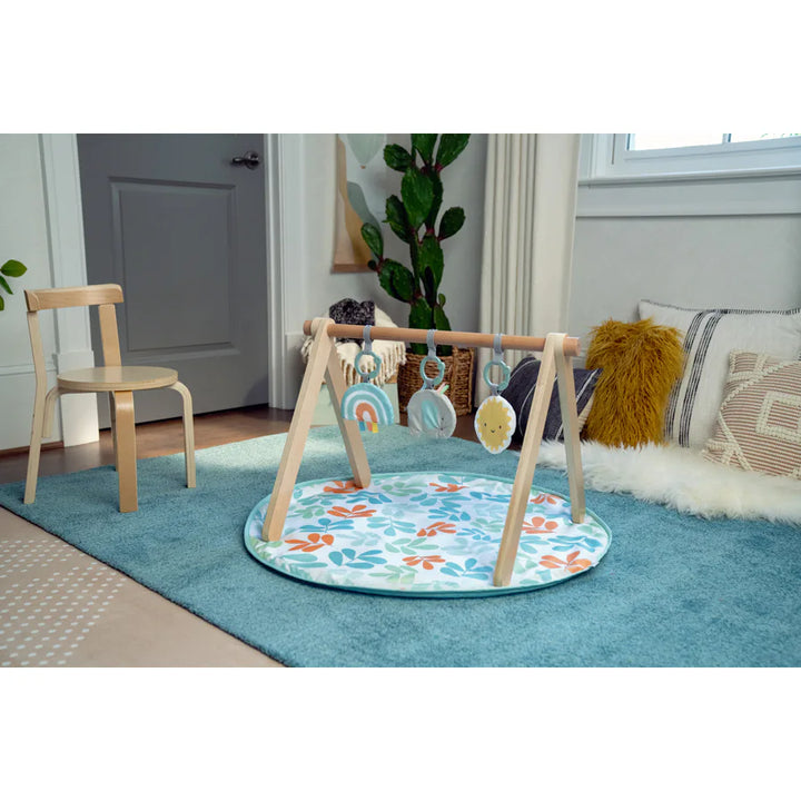 Ingenuity  Sun Valley Wooden Toy Arch & Play Mat