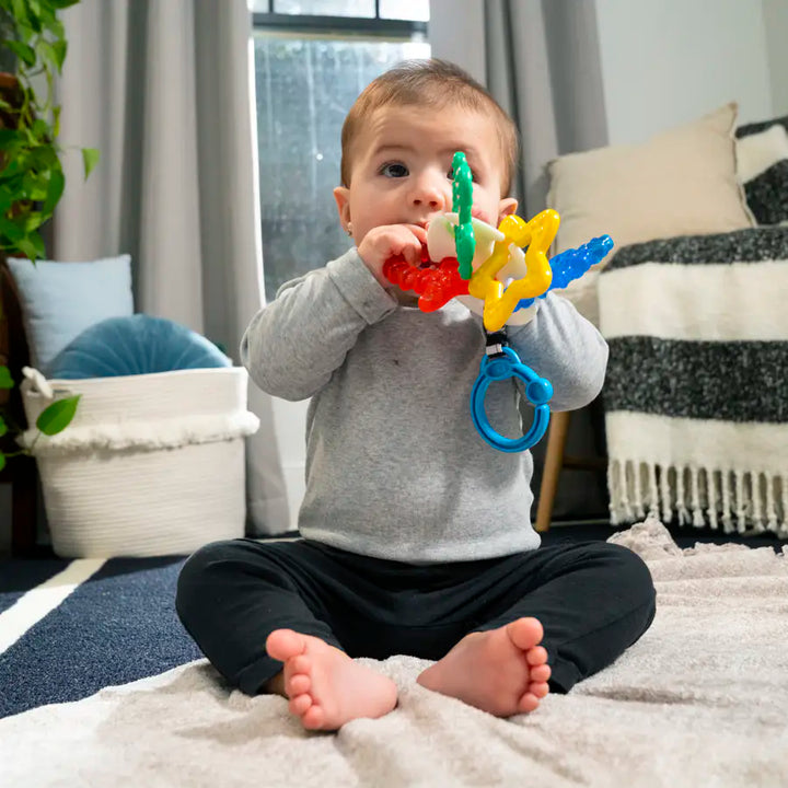 Baby Einstein Sea of Sensory Teether Toy