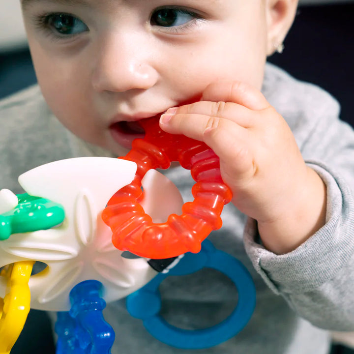 Baby Einstein Sea of Sensory Teether Toy