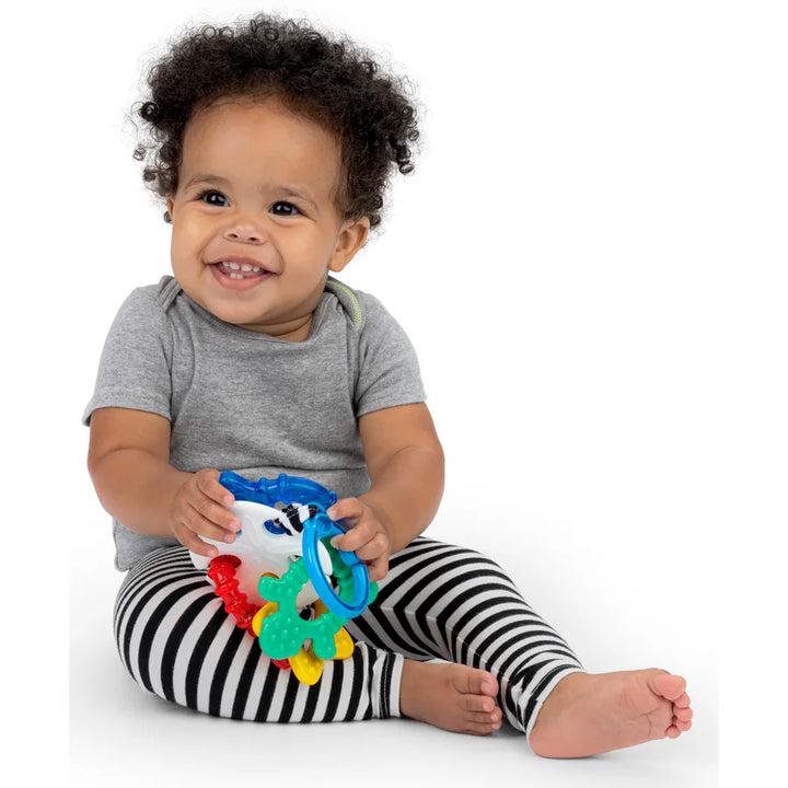 Baby Einstein Sea of Sensory Teether Toy