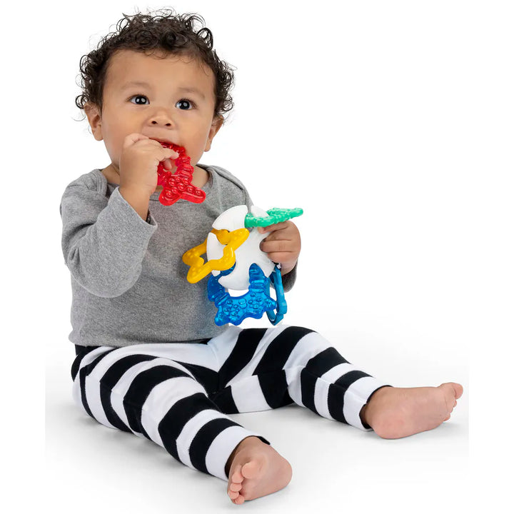 Baby Einstein Sea of Sensory Teether Toy