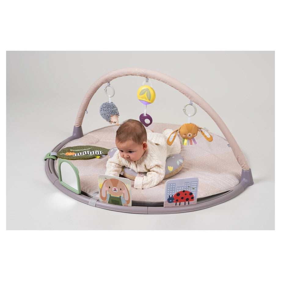 Taf Toys Tummy-Time Activity Gym