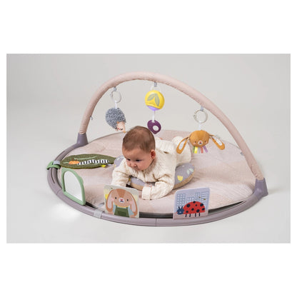 Taf Toys Tummy-Time Activity Gym