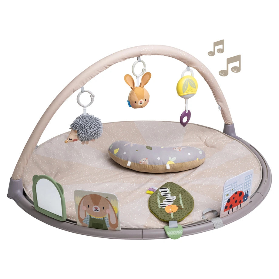 Taf Toys Tummy-Time Activity Gym