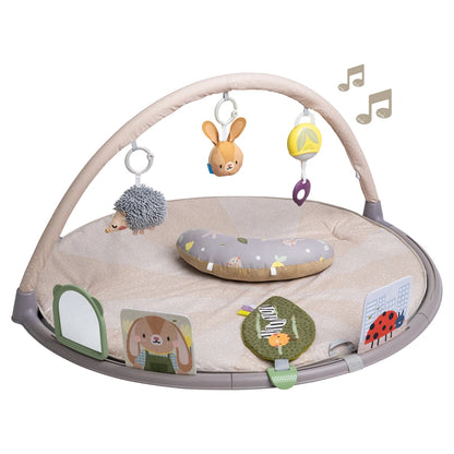 Taf Toys Tummy-Time Activity Gym