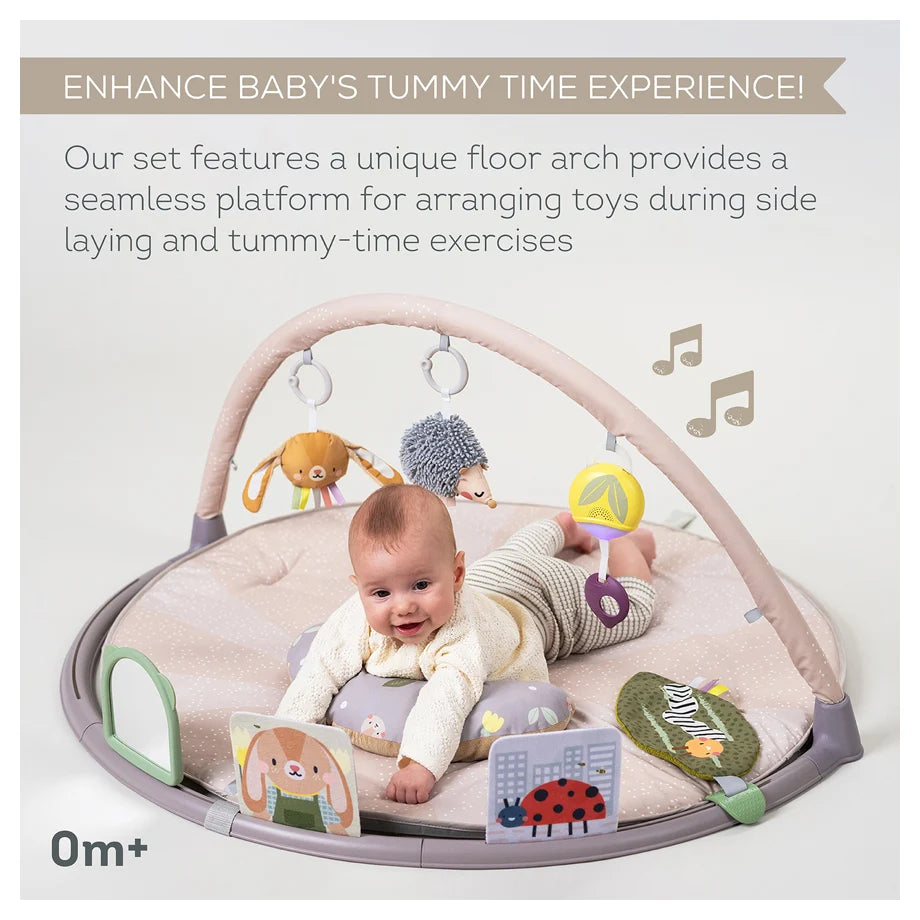 Taf Toys Tummy-Time Activity Gym