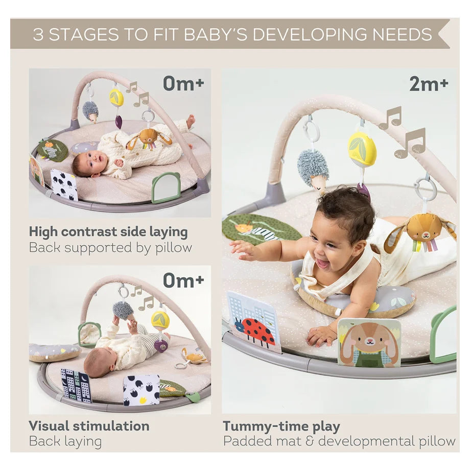Taf Toys Tummy-Time Activity Gym