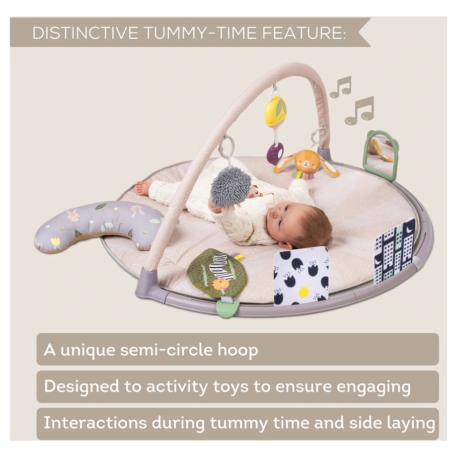Taf Toys Tummy-Time Activity Gym