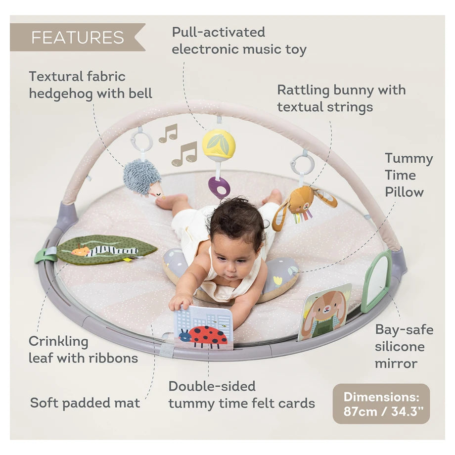 Taf Toys Tummy-Time Activity Gym
