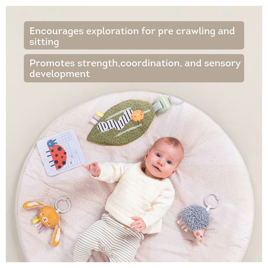 Taf Toys Tummy-Time Activity Gym