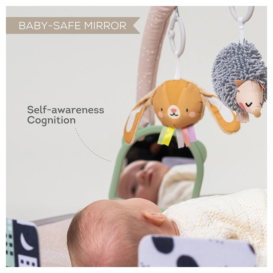 Taf Toys Tummy-Time Activity Gym
