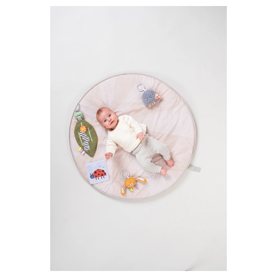 Taf Toys Tummy-Time Activity Gym