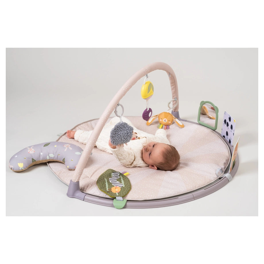 Taf Toys Tummy-Time Activity Gym