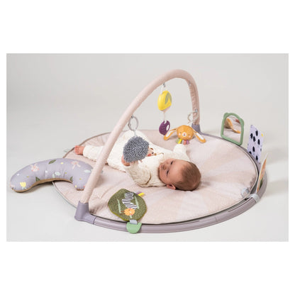 Taf Toys Tummy-Time Activity Gym