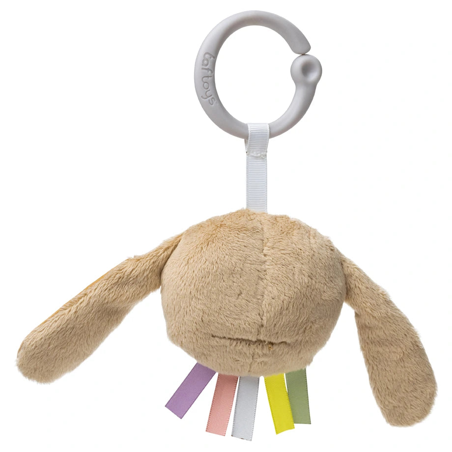 Taf Toys Tummy-Time Activity Gym