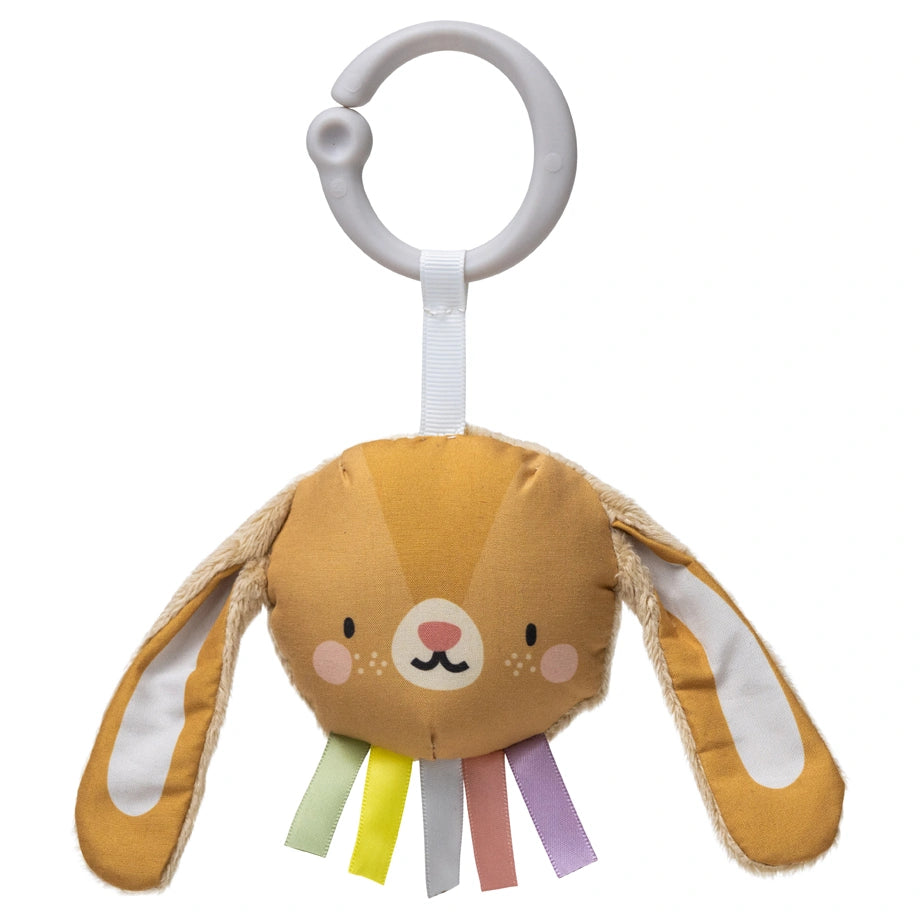 Taf Toys Tummy-Time Activity Gym