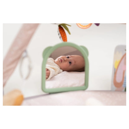 Taf Toys Tummy-Time Activity Gym
