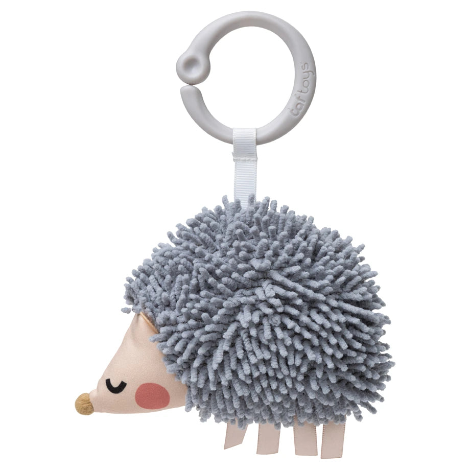 Taf Toys Tummy-Time Activity Gym