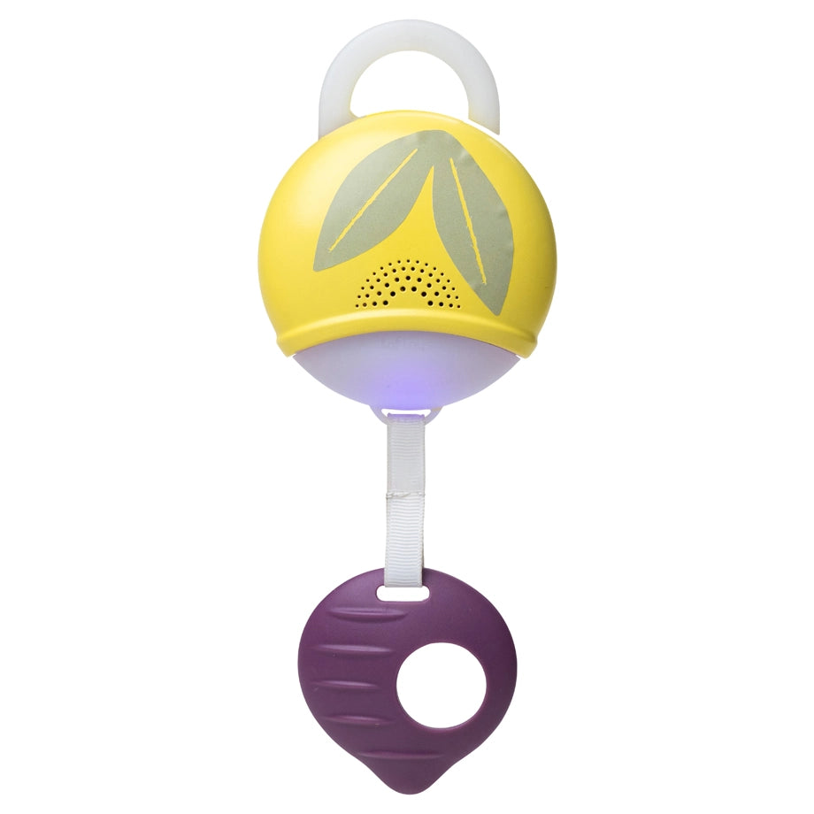 Taf Toys Tummy-Time Activity Gym