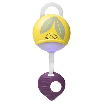 Taf Toys Tummy-Time Activity Gym