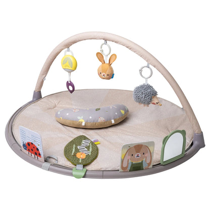 Taf Toys Tummy-Time Activity Gym