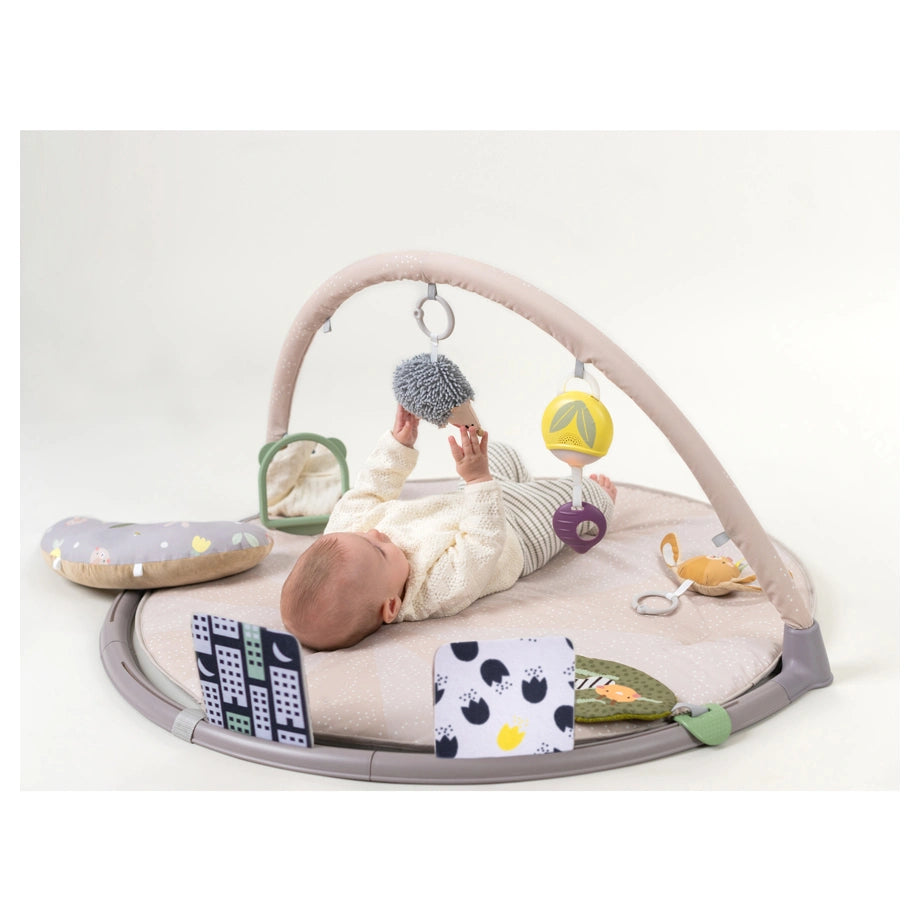 Taf Toys Tummy-Time Activity Gym
