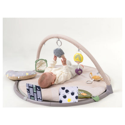 Taf Toys Tummy-Time Activity Gym