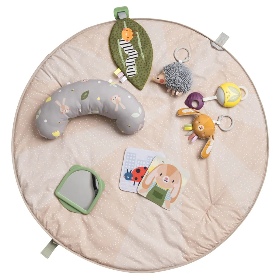 Taf Toys Tummy-Time Activity Gym