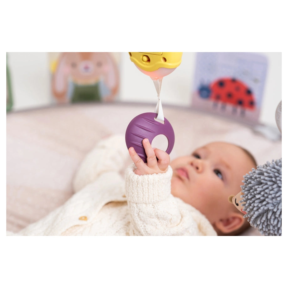 Taf Toys Tummy-Time Activity Gym