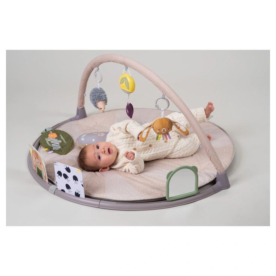 Taf Toys Tummy-Time Activity Gym