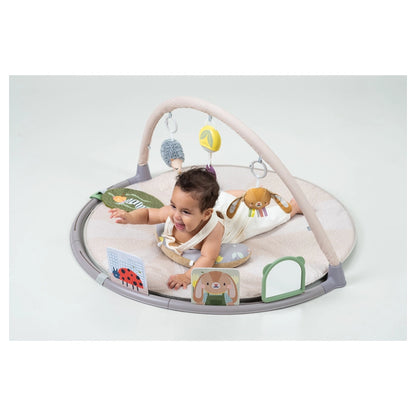 Taf Toys Tummy-Time Activity Gym