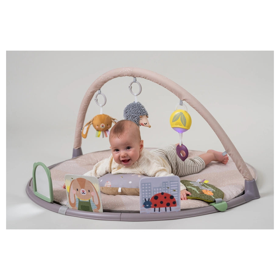 Taf Toys Tummy-Time Activity Gym