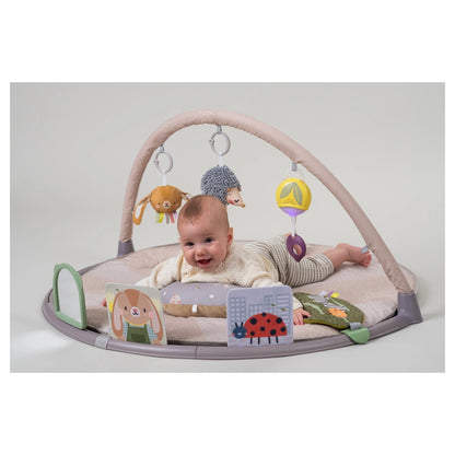 Taf Toys Tummy-Time Activity Gym
