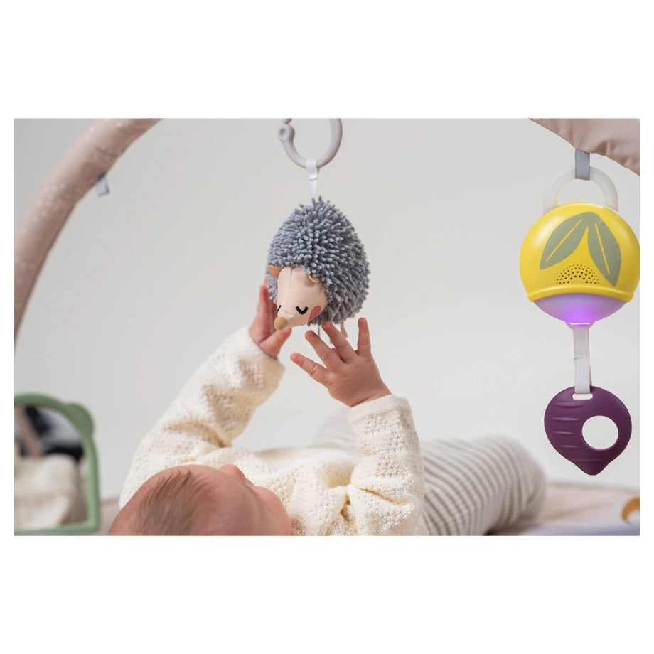 Taf Toys Tummy-Time Activity Gym