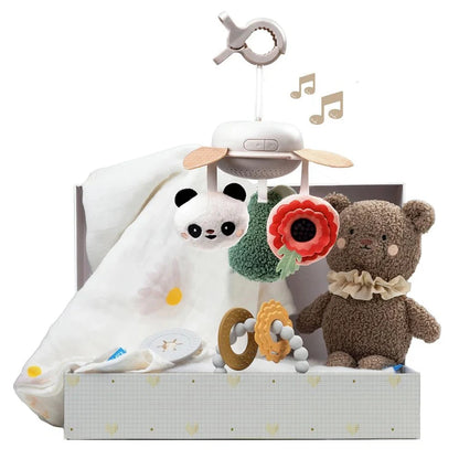 Taf Toys Luxury Music Mobile Newborn Kit