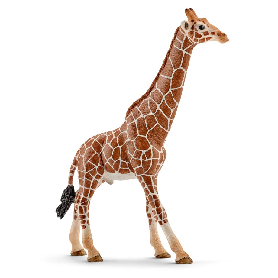 Schleich Male Giraffe Figure (Brown)