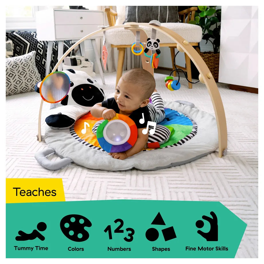 Bright Starts Baby Einstein Zen's Activity Milestones Plush Gym