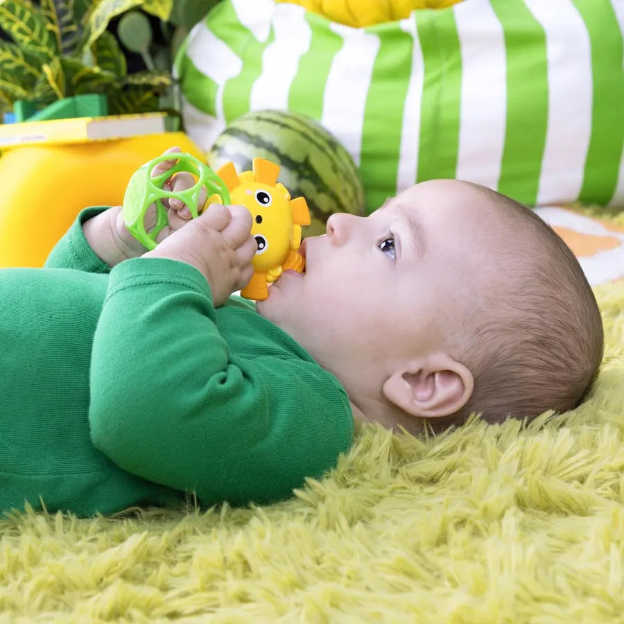 لعبة Oball Soothing Pals Peg من Bright Starts (عبوة من قطعتين) لعبة Oball Soothing Pals Peg من Bright Starts (عبوة من قطعتين)