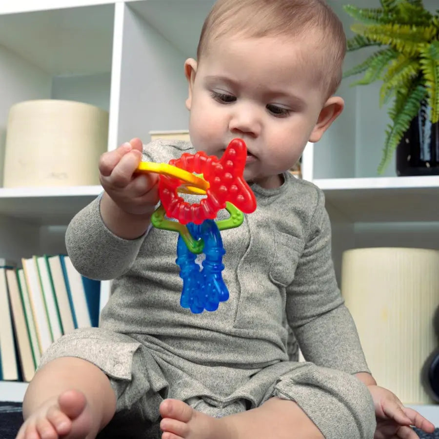 Baby Einstein Ocean Explorers Cool Critters Teether Toy Set Baby Einstein Ocean Explorers Cool Critters Teether Toy Set
