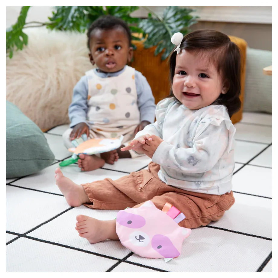 Ingenuity Crinklet Plush (Kitt)