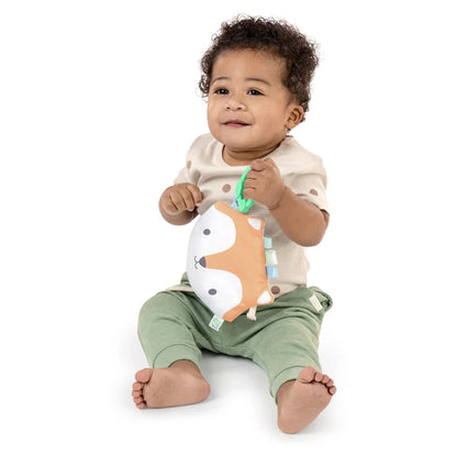 Ingenuity Crinklet Plush (Kitt)