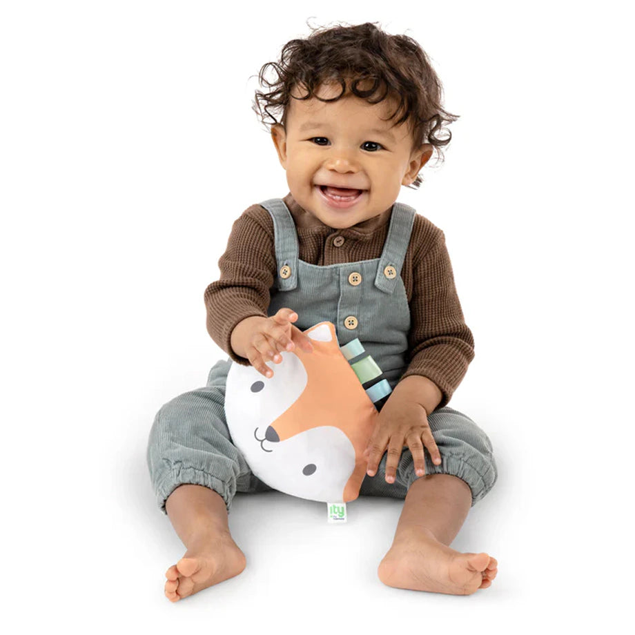 Ingenuity Crinklet Plush (Kitt)