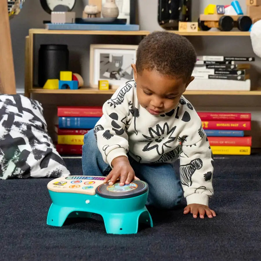 Baby Einstein Dj Discovery Magic Touch Turntable (Hape) Baby Einstein Dj Discovery Magic Touch Turntable (Hape)