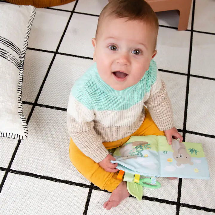 Ingenuity Soft Book Nate