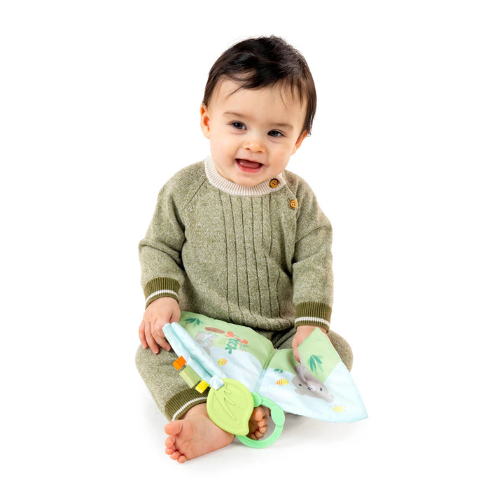 Ingenuity Soft Book Nate